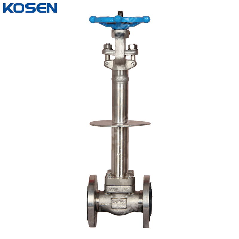 ASTM A182 F304L Cryogenic Gate Valve, API 602, 3/4 IN, CL150
