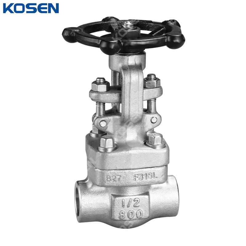 ASTM A182 F316L Gate Valve, API 602, 1/2 IN, 800 LB, BB, SW