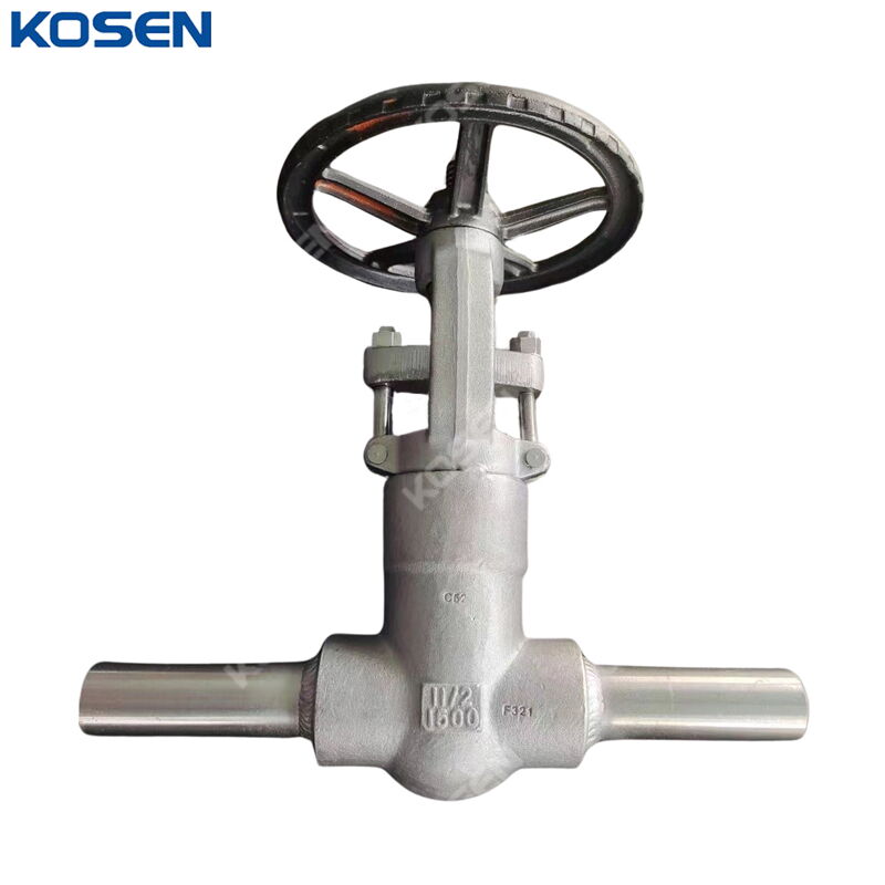 ASTM A182 F321 Gate Valve, API 602, 1-1/2 Inch, 1500 LB, PSB