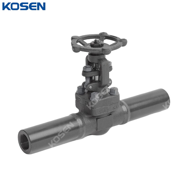 ASTM A352 LF2 Gate Valve, API 602, 800 LB, Extended Body, BW