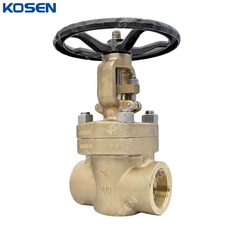 ASTM B148 C95500 Gate Valve, API 602, 2-1/2 IN, CL800, FNPT