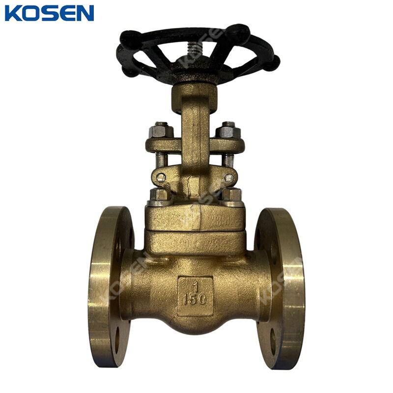 ASTM B148 C95800 Gate Valve, API 602, 1 Inch, CL150, RF Ends
