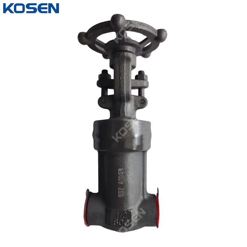 Bellows Sealed Gate Valve, API 602, A105N, 1/2 IN, CL800, SW