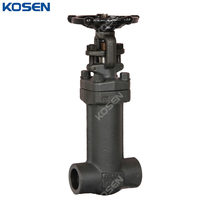 Bellows Sealed Gate Valves, API 602, A105N, 1 IN, 800 LB, SW