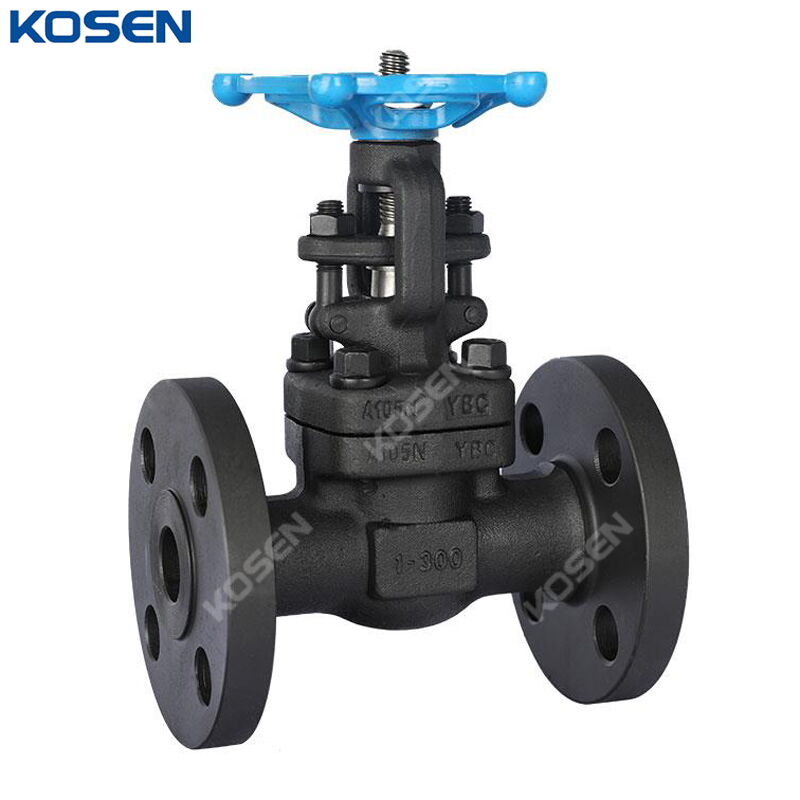 Bolted Bonnet Gate Valve, API 602, A105N, 1 Inch, CL300, RF