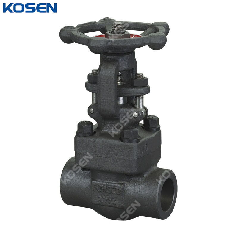 Bolted Bonnet Gate Valve, API 602, ASTM A105, 800 LB, SW End