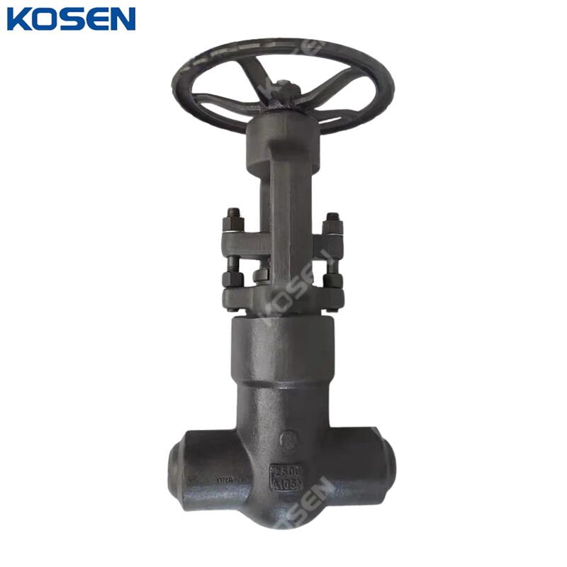 Carbon Steel ASTM A105N Gate Valve, API 602, 2 Inch, 2500 LB