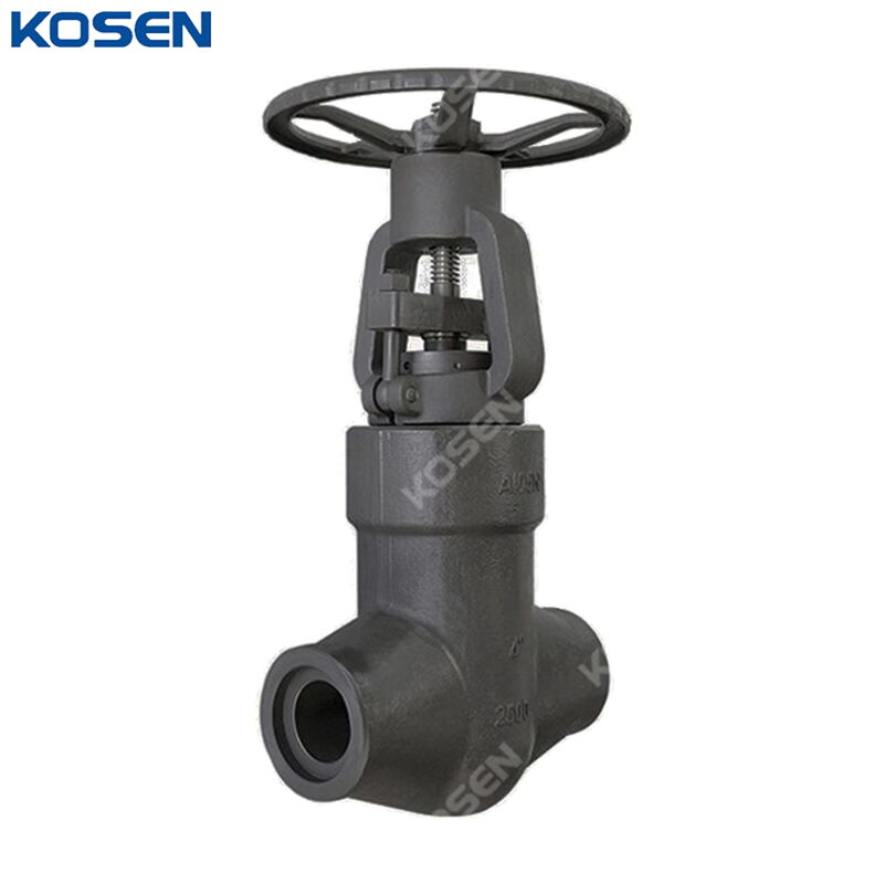 Class 2500 LB Gate Valve, API 602, ASTM A105N, 4 IN, PSB, SW