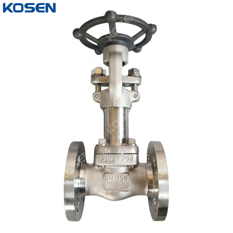 Cryogenic Gate Valve, API 602, ASTM A182 F304, 3/4 IN, CL150