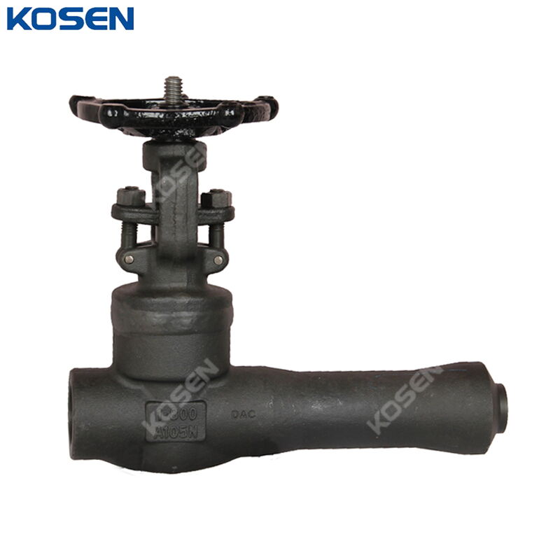 Extended Body Gate Valve, API 602, ASTM A105N, 1 Inch, CL800