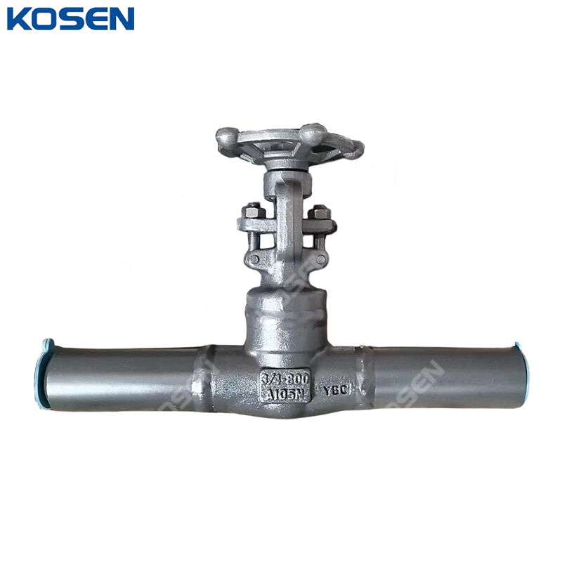 Extended Body Gate Valves, API 602, A105N, 3/4 Inch, 800 LB