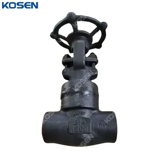 ASTM A105N Gate Valve, ASME B16.34, API 602, 3/4 IN, 1500 LB