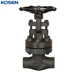 ASTM A105N Gate Valves, API 602, 1/2 Inch, 2500 LB, SW Ends