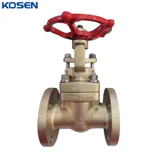 Al-Bronze Gate Valve, API 602, ASTM B148 C95800, 2 IN, CL150