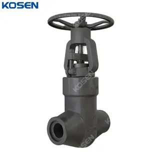 Class 2500 LB Gate Valve, API 602, ASTM A105N, 4 IN, PSB, SW