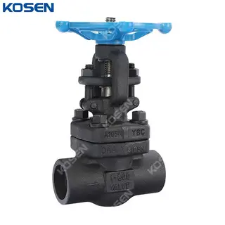 API 602 Gate Valves, ASTM A105N, Carbon Steel, 1 IN, CL800