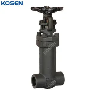 Bellows Sealed Gate Valves, API 602, A105N, 1 IN, 800 LB, SW