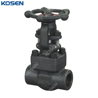 Bolted Bonnet Gate Valve, API 602, ASTM A105, 800 LB, SW End
