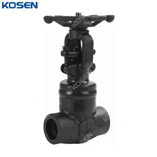 API 602 Gate Valve, ASTM A105N, 1 IN, CL800, Welded Bonnet