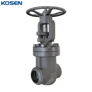 Carbon Steel Gate Valves, API 602, A105N, 4 Inch, 800 LB, BW