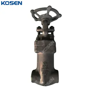 Bellows Seal Gate Valve, API 602, ASTM A105N, 3/4 IN, 800 LB