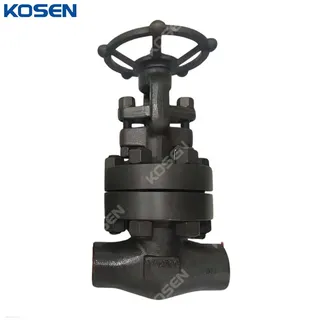 ASTM A182 F11 Gate Valve, API 602, 3/4 Inch, CL2500, SW, BB