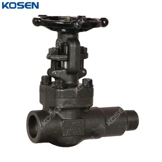 API 602 Gate Valves, ASTM A105N, 1 IN, CL800, SW * MNPT Ends
