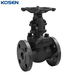 Custom Forged Gate Valve, API 602, ASTM A105N, Bolted Bonnet