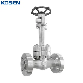 ASTM A182 F316 Cryogenic Gate Valve, API 602, 1 Inch, CL2500