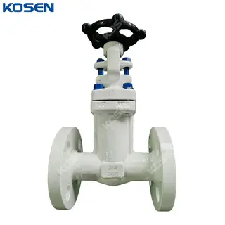 API 602 Bellows Sealed Gate Valve, ASTM A105N, 3/4 IN, CL300