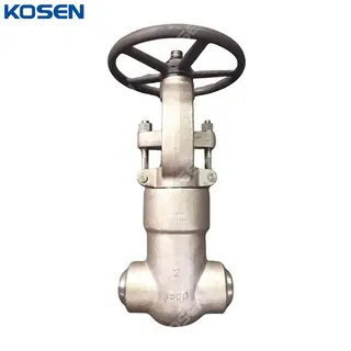 ASTM A182 F304 Gate Valves, API 602, 2 Inch, CL1500, PSB, BW