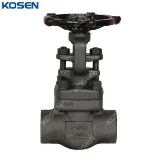 Class 800 LB Gate Valve, API 602, ASTM A105N, 1 IN, DN25, SW