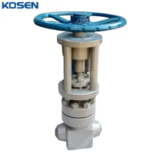 API 602 PSB Gate Valve, Carbon Steel, ASTM A105N, PN320, BW