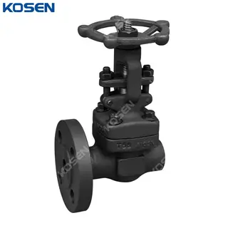 Air Drain Valve, API 602, ASTM A105N, Custom, RF * FNPT Ends