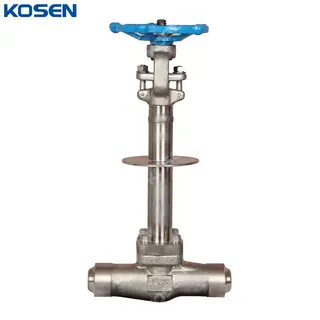 ASTM A182 F304L Gate Valve, API 602, 1 IN, 600 LB, Cryogenic