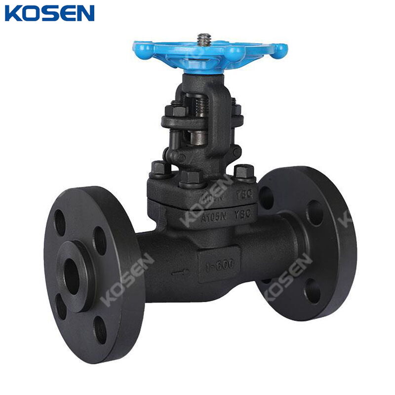 Rising Stem Gate Valve, API 602, ASTM A105N, 1 IN, CL600, RF