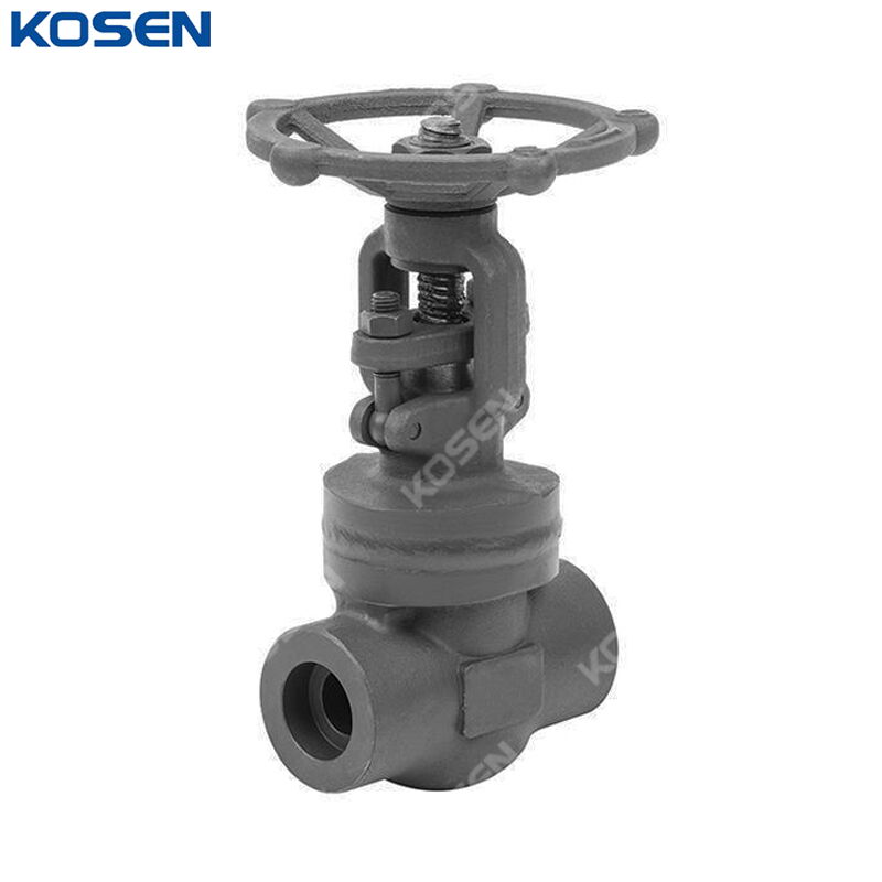 Welded Bonnet Gate Valve, API 602, ASTM A105N, CL800 LB, SW