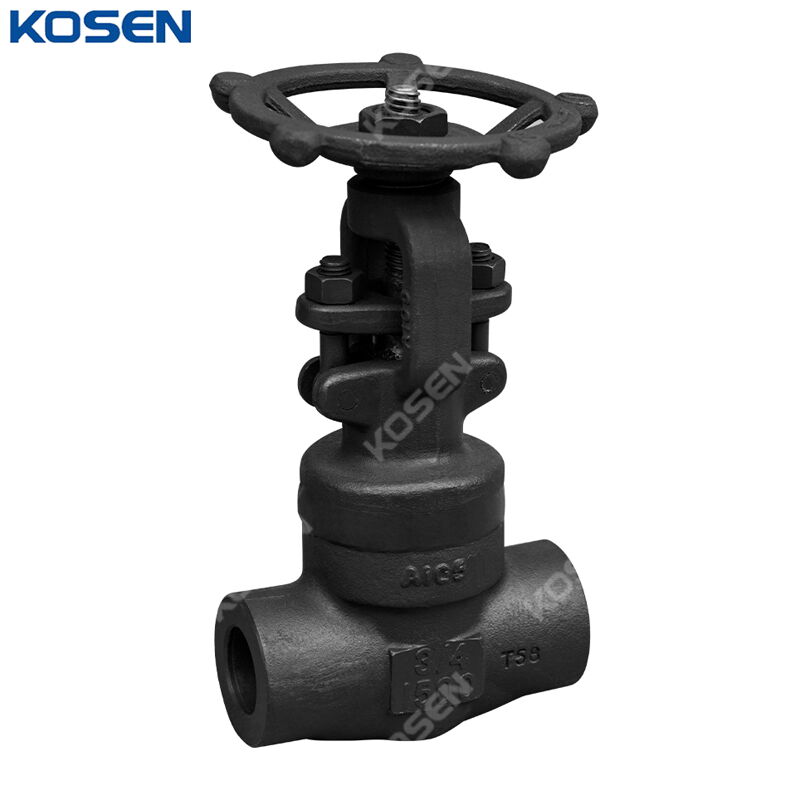 Welded Bonnet Gate Valves, API 602, A105N, 3/4 Inch, 1500 LB