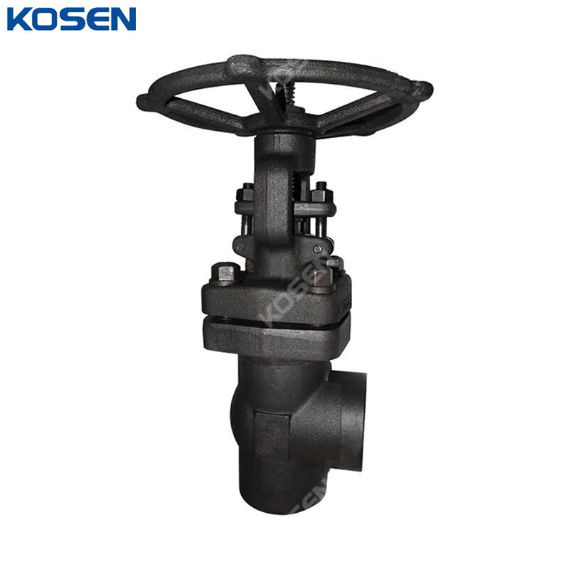 Angle Globe Valve, API 602, ASTM A105N, 1 Inch, 800 LB, SW