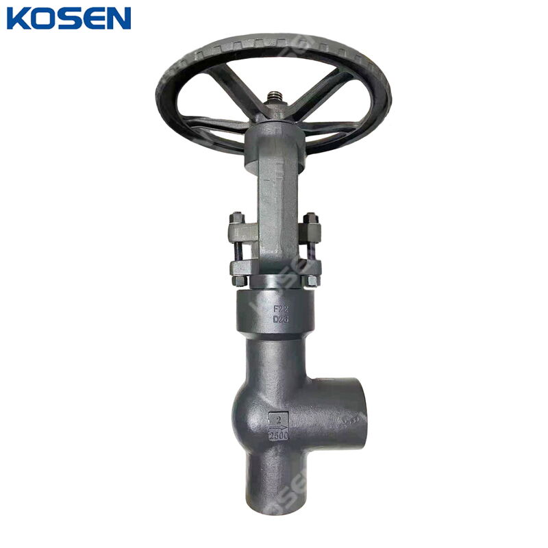 API 602 Angle Globe Valve, ASTM A182 F22, 2 IN, 2500 LB, PSB