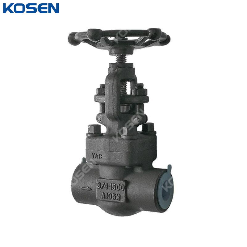 API 602 Globe Valve, ASTM A105N, 3/4 Inch, CL1500, BB, FNPT