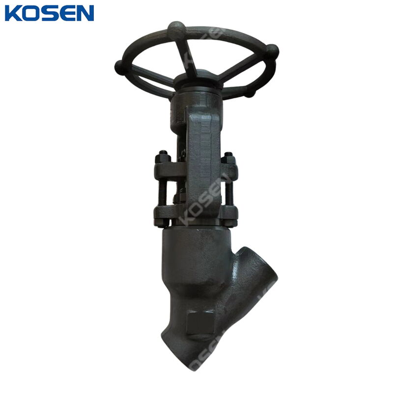 API 602 Y Globe Valve, ASTM A105N, 2500 LB, Pressure Sealed