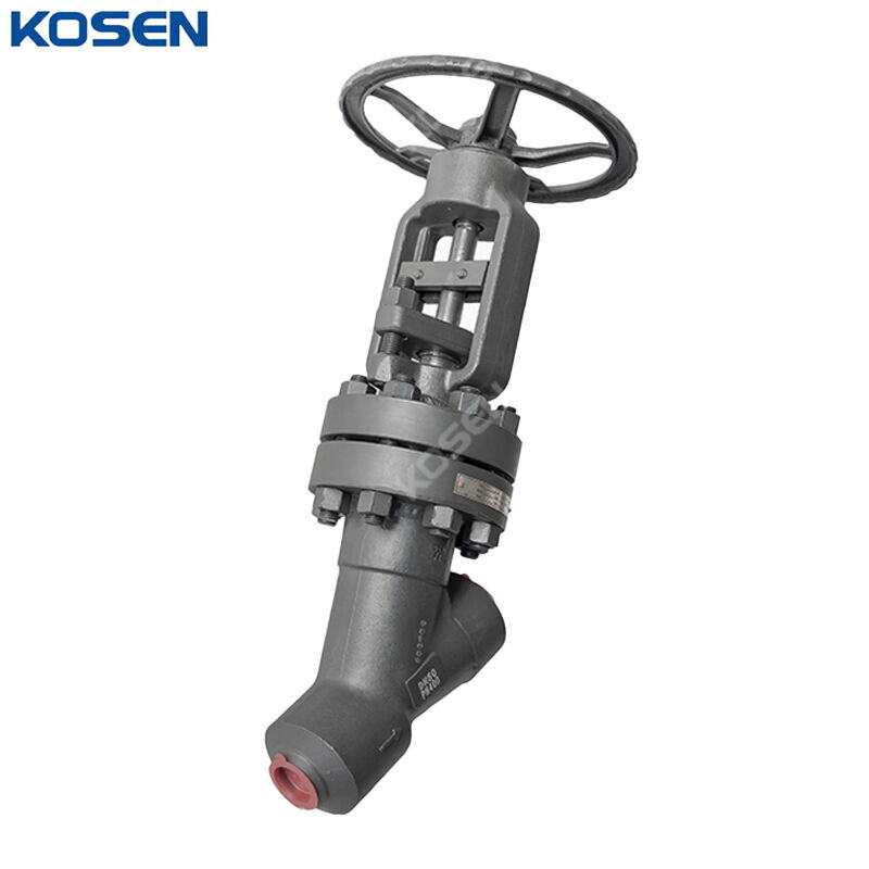 API 602 Y-type Globe Valve, ASTM A105N, DN50, PN400, BW Ends
