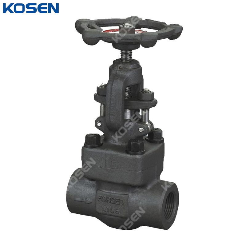 ASTM A105 Globe Valve, API 602, 1 IN, 800 LB, BB, OS&Y, FNPT