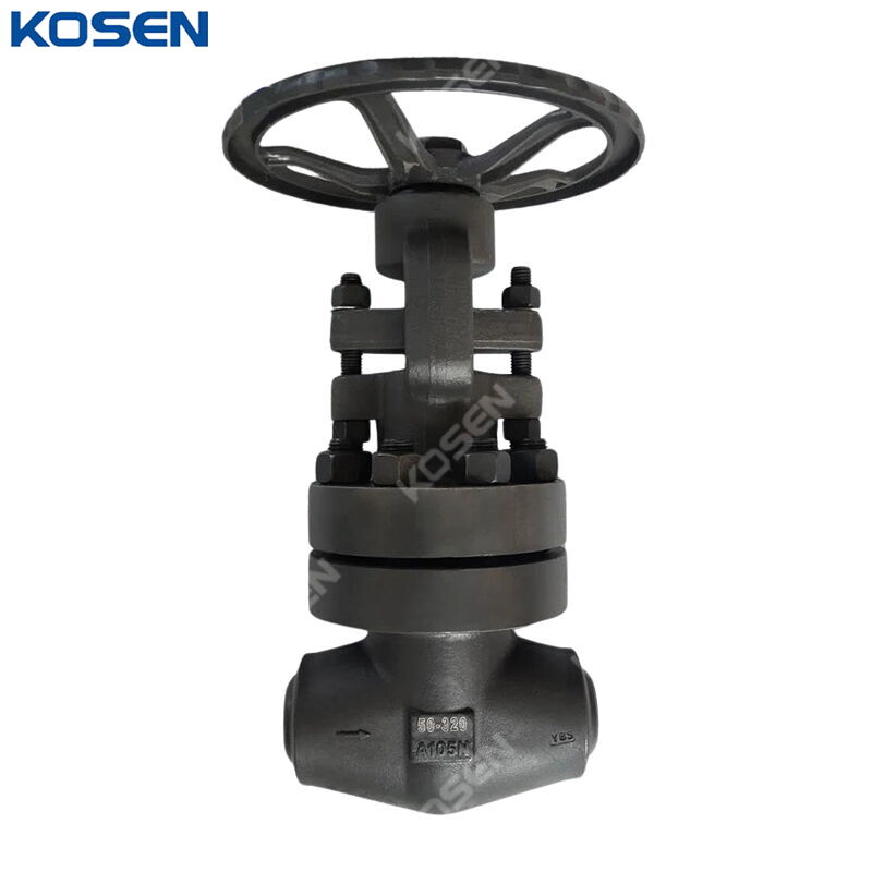 ASTM A105N Globe Valve, API 602, DN50, PN320, 2 Inch, BW End