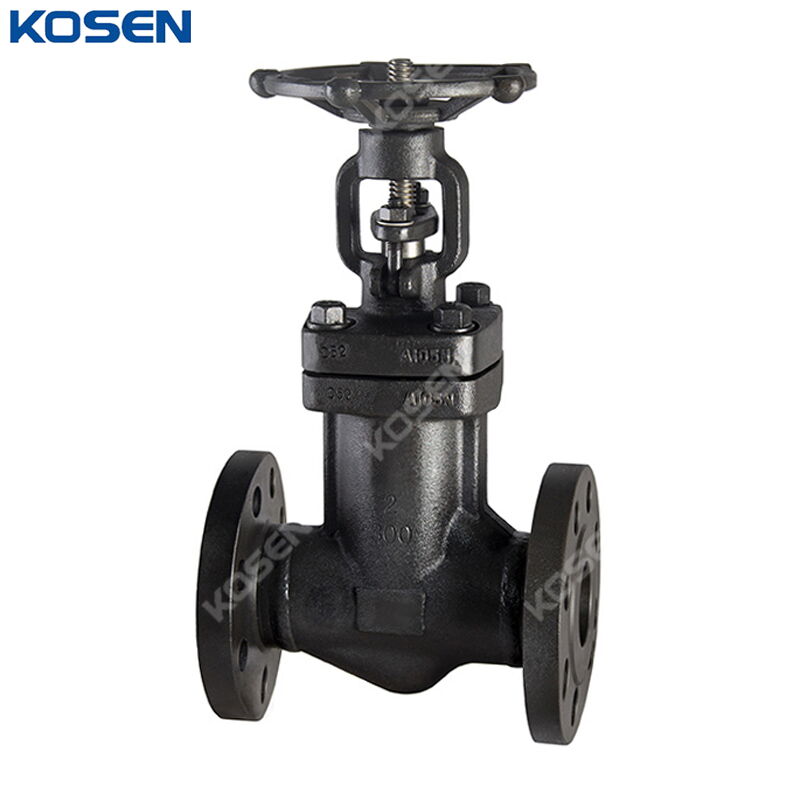 ASTM A105N Globe Valves, API 602, 2 IN, 300 LB, Bellows Seal