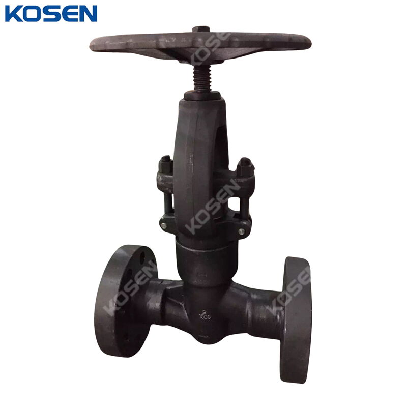 ASTM A105N PSB Globe Valve, API 602, 2 Inch, CL1500 LB, RTJ