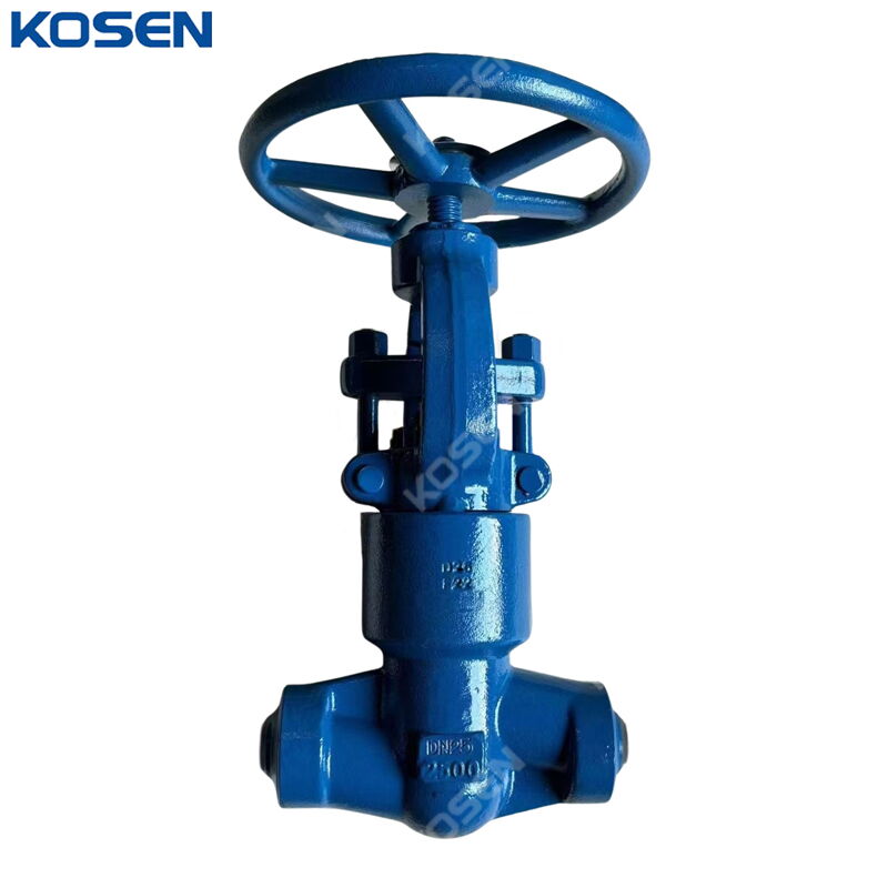 ASTM A182 F22 Globe Valve, API 602, 1 Inch, 2500 LB, BW, PSB