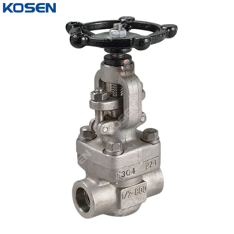 ASTM A182 F304 Globe Valve, API 602, 1/2 Inch, 800 LB, SW