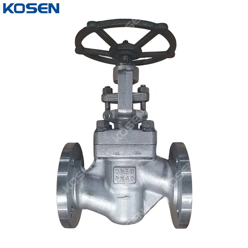 ASTM A182 F316 Globe Valve, API 602, DN50, PN40, 2 Inch, RF